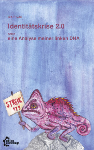 Cover von "Identitätskrise 2.0"